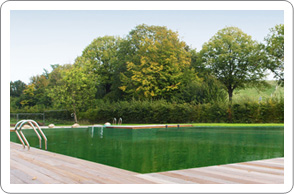 schwimmteich