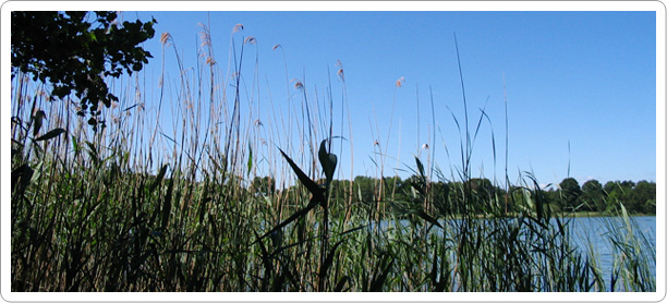 Am Hemmelsdorfer See